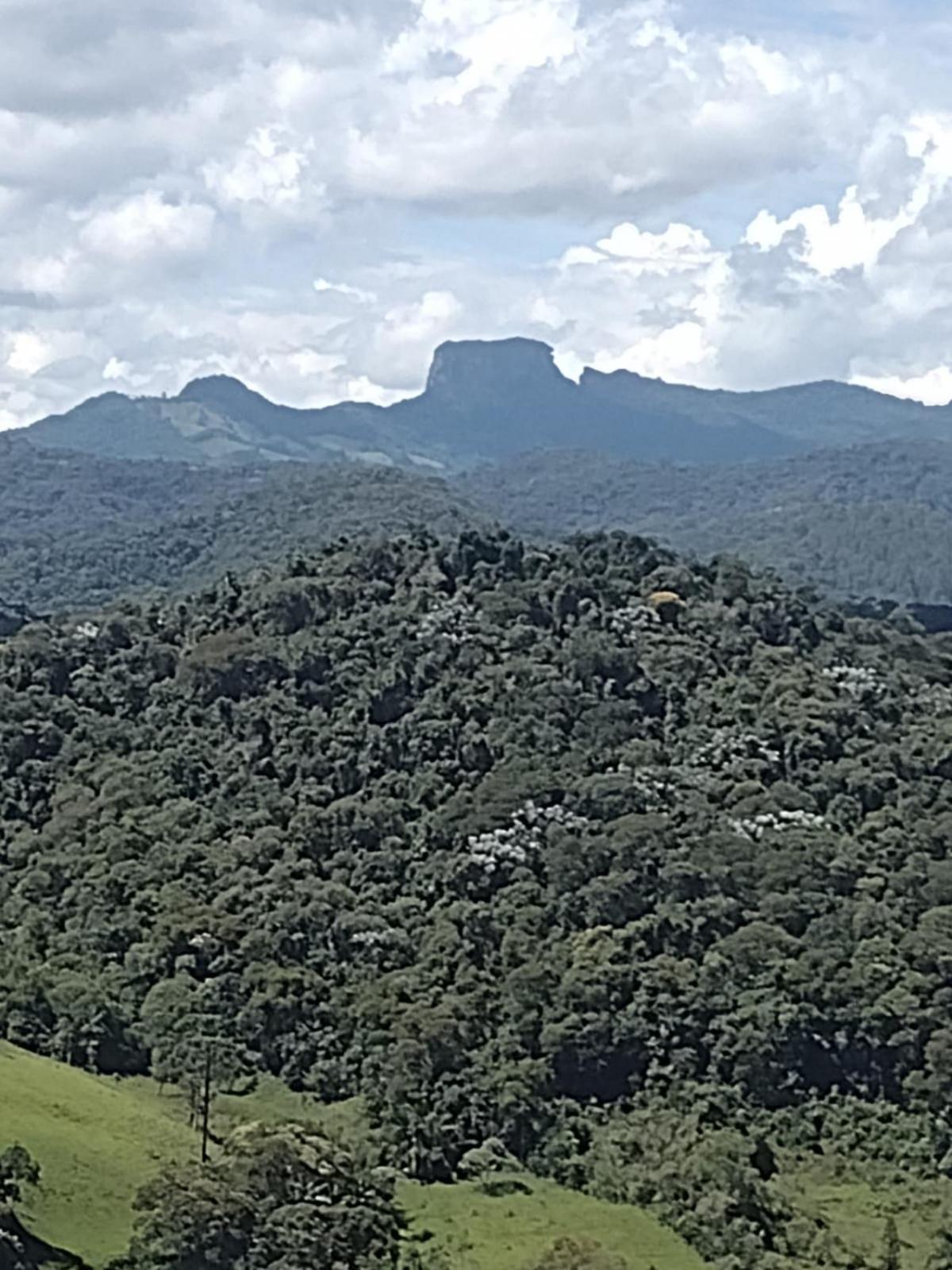 Chale Da Pinha Seu Refugio Na Montanha